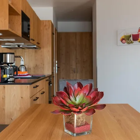 Adlerhorst 2 Zell Am With Private Sauna * 滨湖采尔