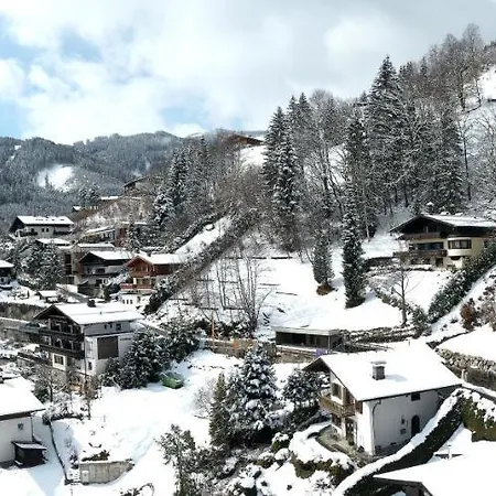 Adlerhorst 2 Zell Am With Private Sauna * 滨湖采尔