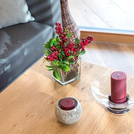 Adlerhorst 2 Zell Am With Private Sauna 公寓